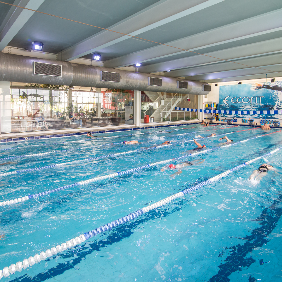 Design sem nome (17)