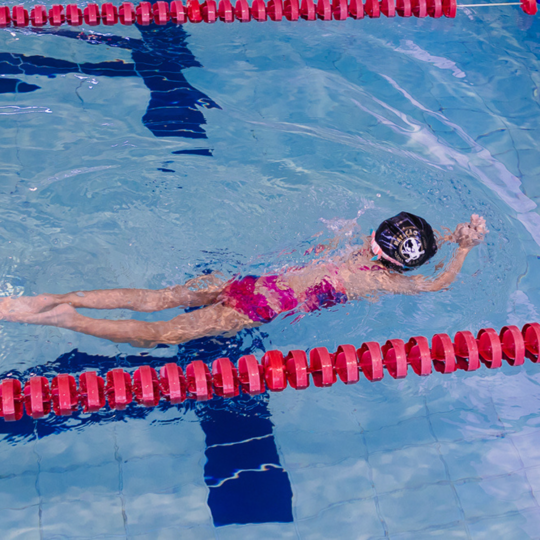 Design sem nome - 2025-10-29T154439.907